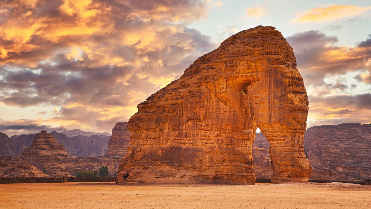 NHIP™ Middle East & North Africa eSIM