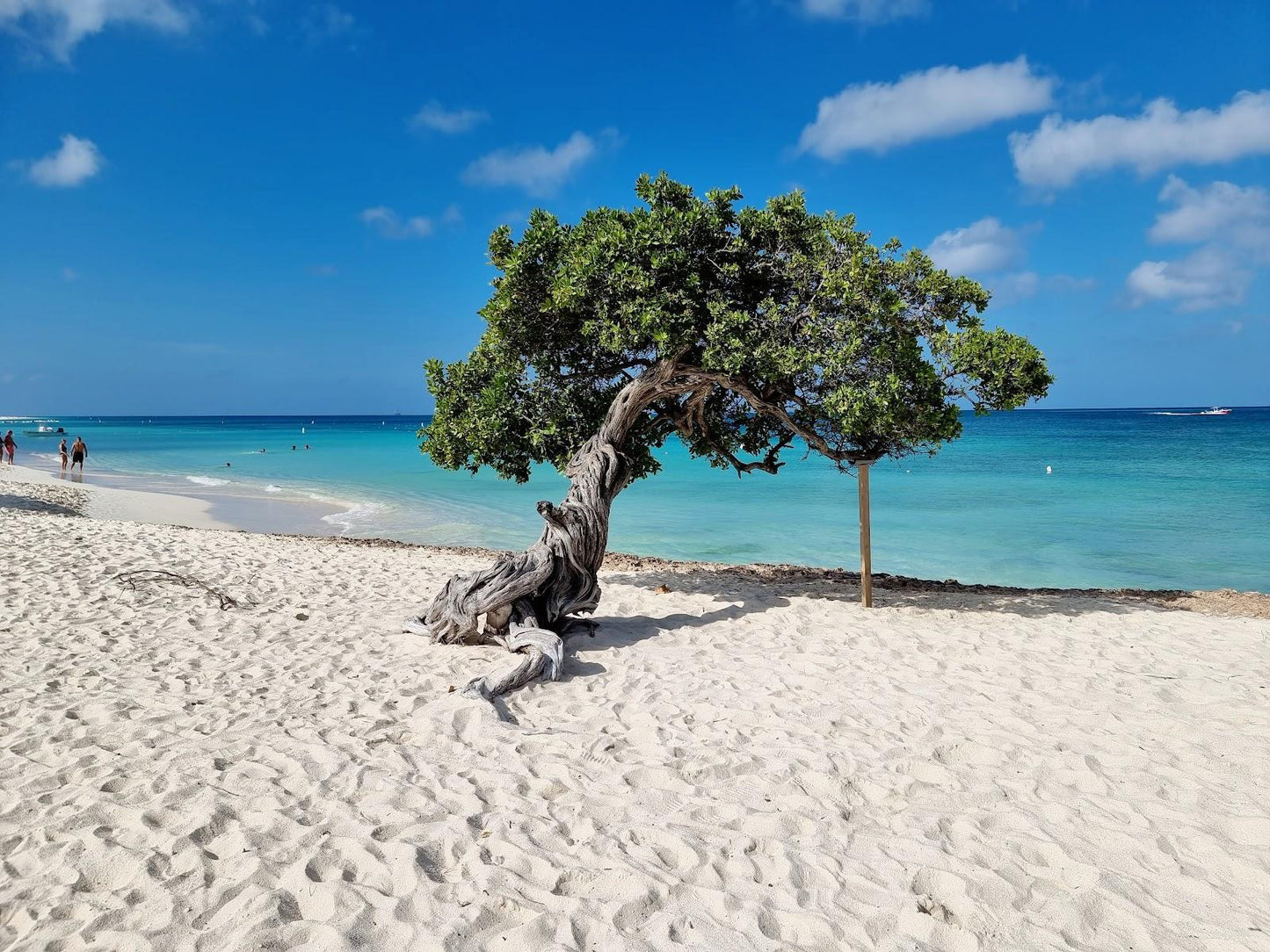 NHIP™ Caribbean eSIM | Caribbean Islands Travel Data