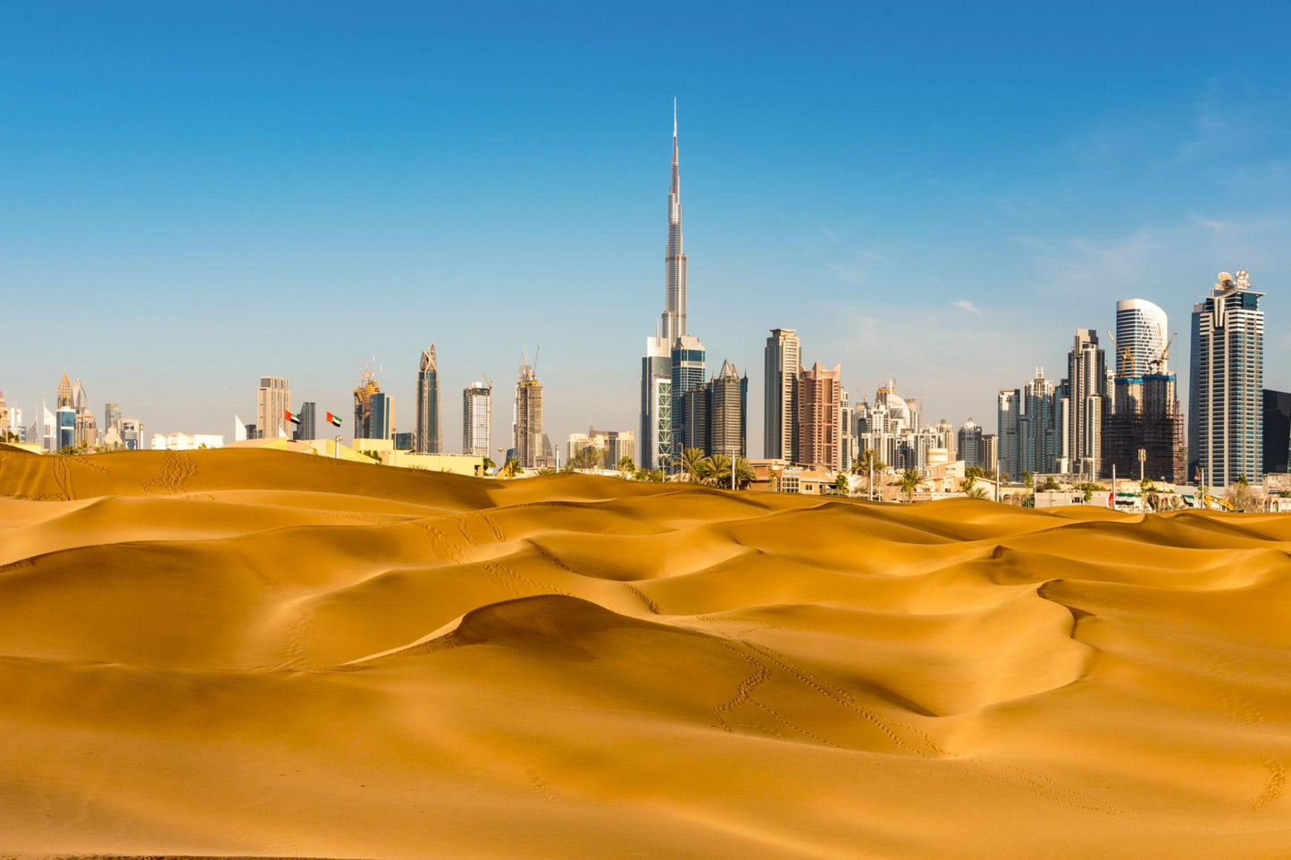 NHIP™ Middle East & North Africa eSIM